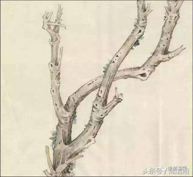 点击查看原图