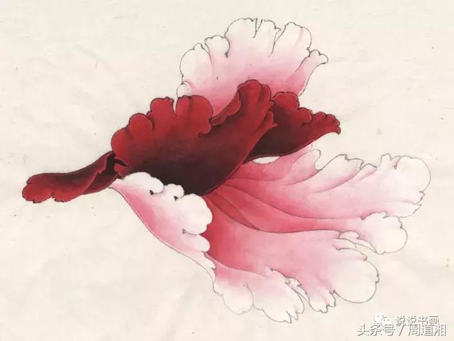 点击查看原图