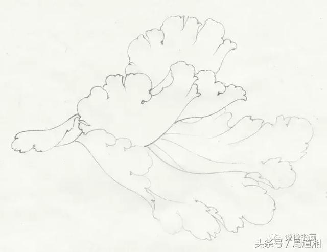 点击查看原图