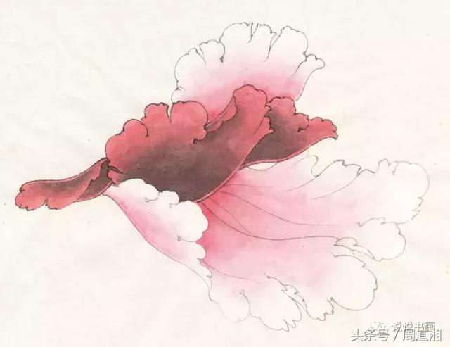 点击查看原图