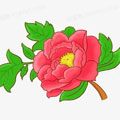 天宝2