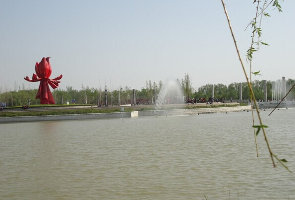 曹州牡丹园美丽的风景