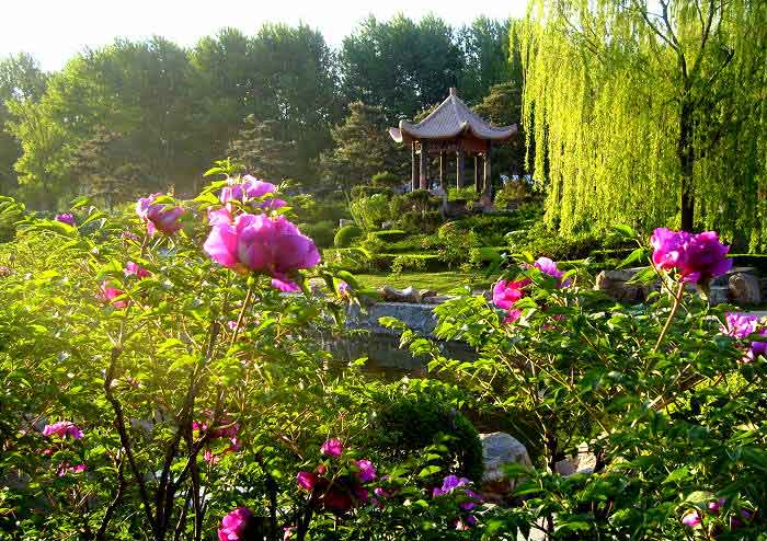 长春牡丹园