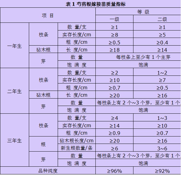 牡丹嫁接苗质量评价标准