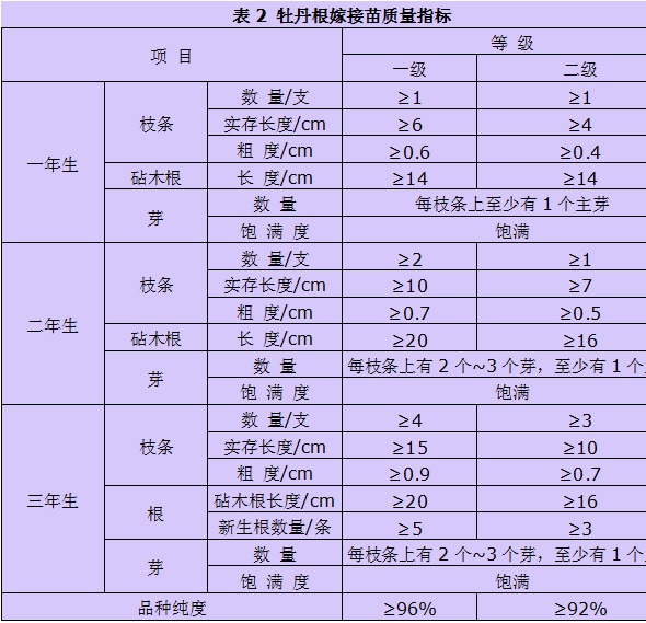 牡丹嫁接苗质量评价标准