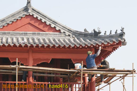 中国牡丹园内施工人员正在对观花阁进行修缮