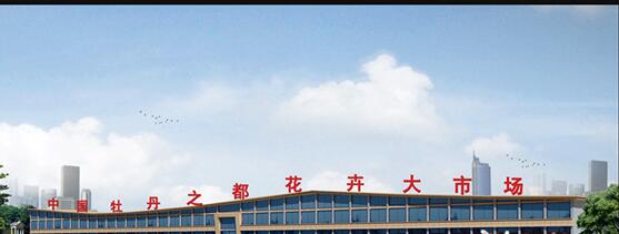 中国牡丹之都（菏泽）花卉大市场4月12日试营业