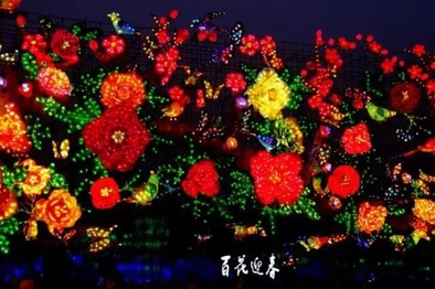 菏泽中国牡丹园首届梦幻光影节