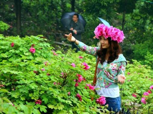 清明节小长假赏花游客