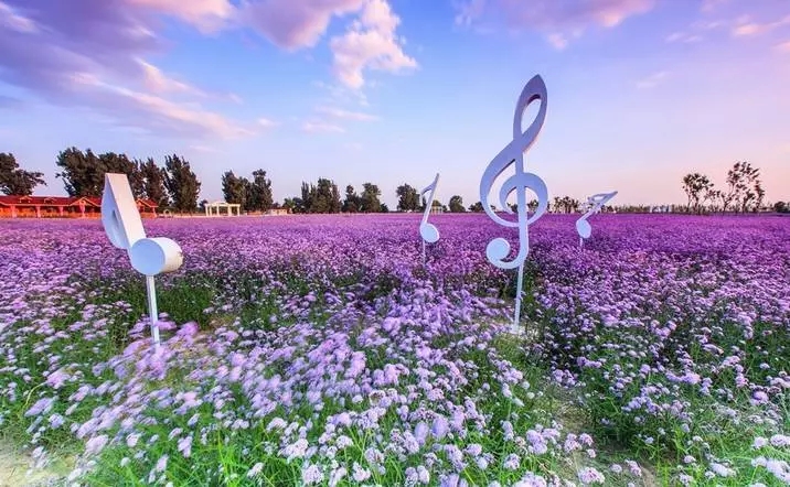 菏泽紫菏香草生态园