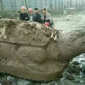 菏泽一建筑工地打桩打出两巨型石龟 重10余吨！【图】