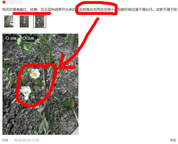花友在知名网购平台购买到的假观赏牡丹花苗截图.jpg