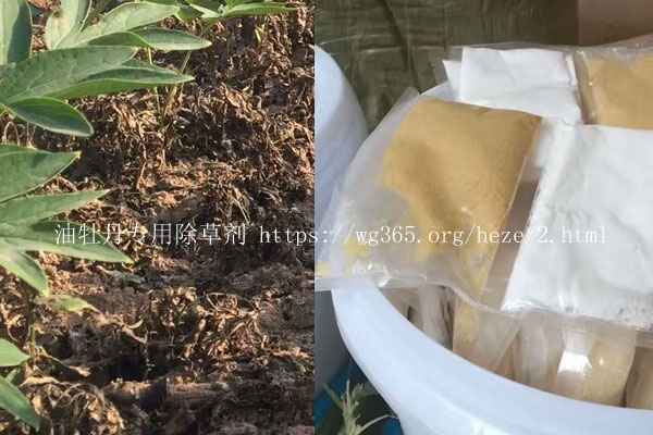 牡丹除草剂.jpg