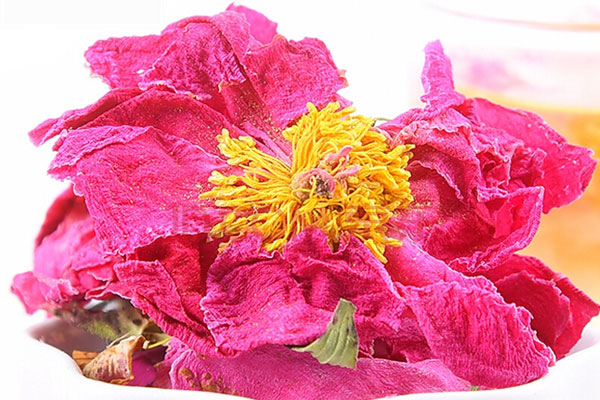 牡丹花茶.jpg