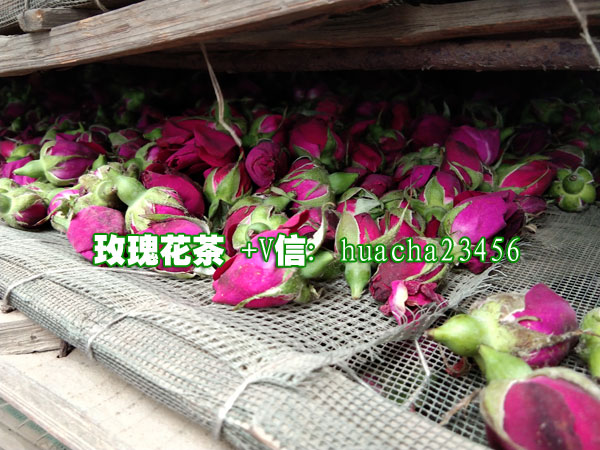 玫瑰花.jpg