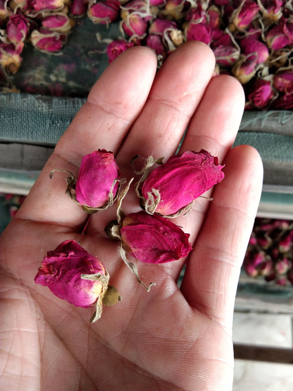 玫瑰花茶.jpg
