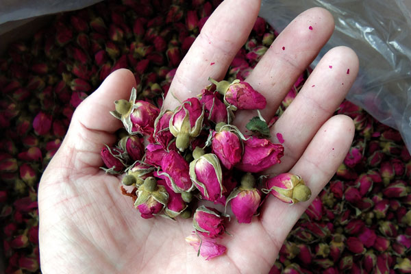 玫瑰花茶的泡法.jpg