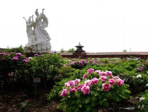 曹州百花园旅游攻略