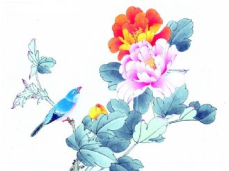 牡丹花的历史起源