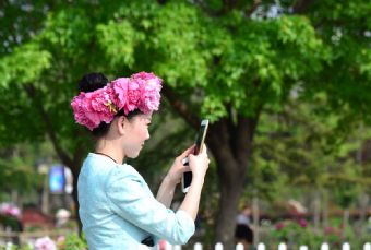 菏泽牡丹花会：景美花美人更美