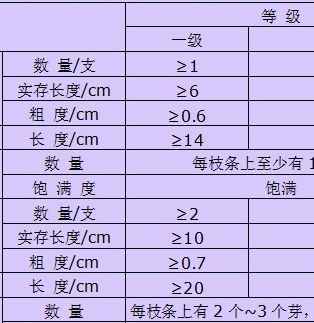 ​牡丹嫁接苗质量评价标准（一年生、二年生、三年生）