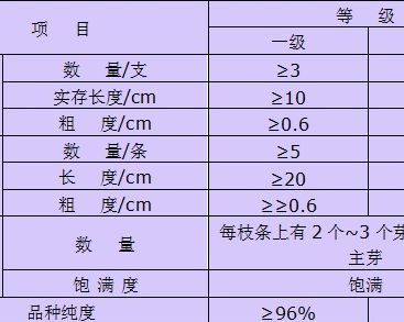 牡丹分株苗（3-4年生）质量评价标准