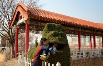 菏泽牡丹园：花期未到，游客已至