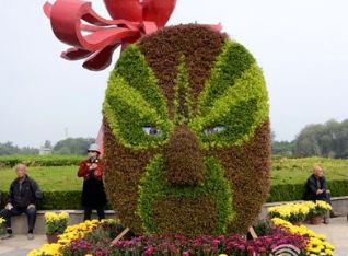 2016菏泽第三届菊花文化旅游节时间、地址、门票价格