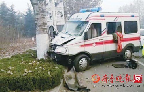 事故现场，救护车撞到树上。（目击者供图）