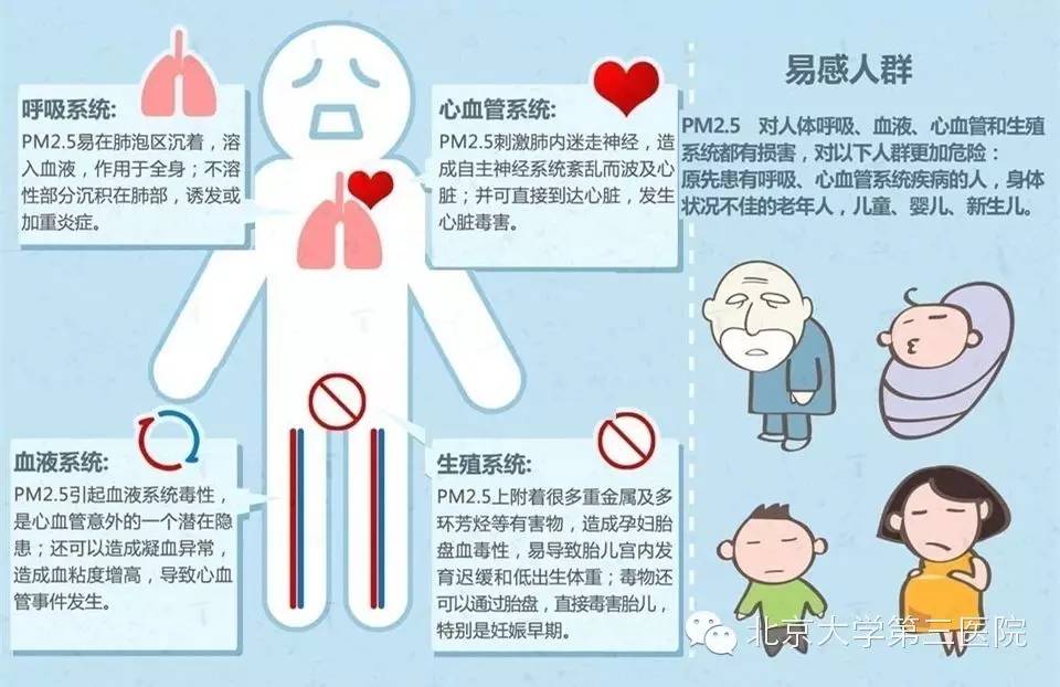 雾霾对人体的主要危害