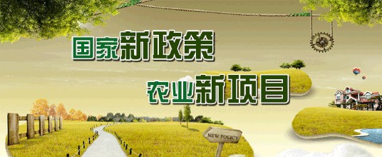 油牡丹种植农业补贴