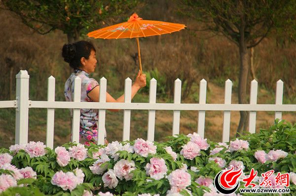 4月10日，菏泽旗袍爱好者在曹州牡丹园内游园