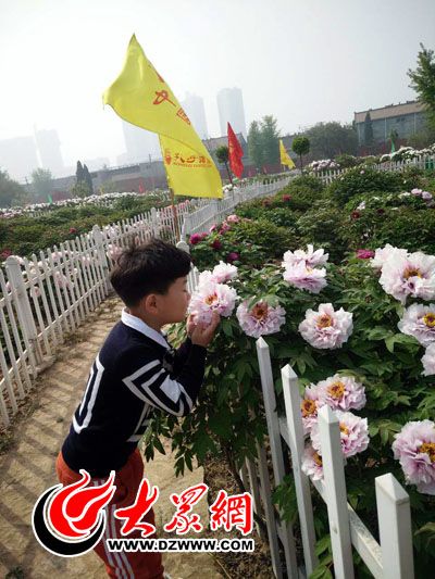 向阳花小记者探访曹州百花园 