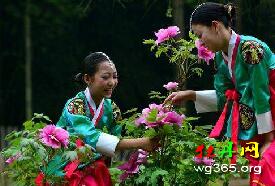 彭州牡丹花会时间/地点/最佳观赏时间