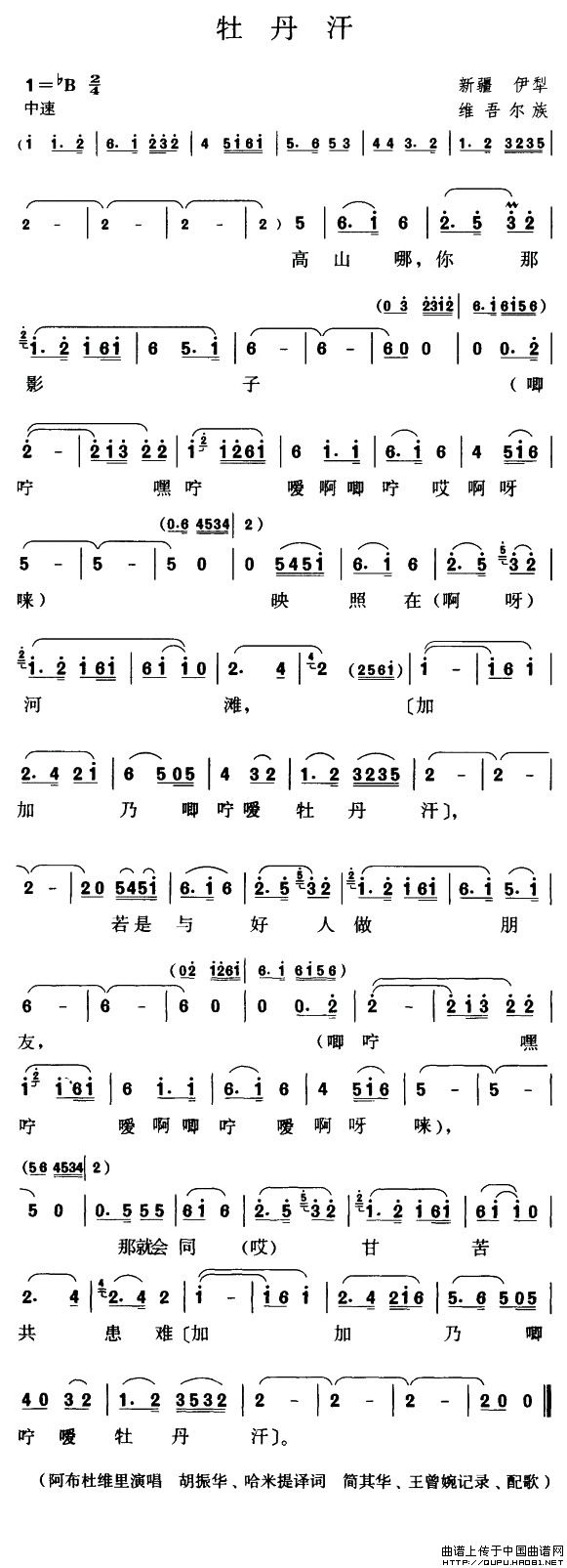 牡丹汗简谱