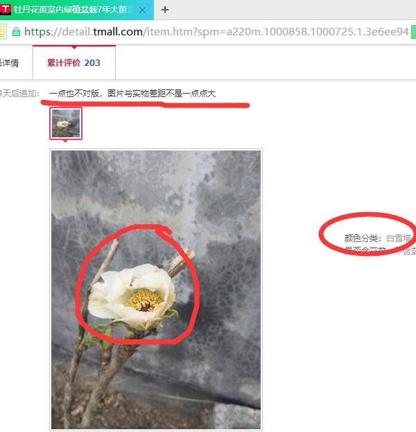 买的观赏牡丹花苗却是油用牡丹苗.jpg