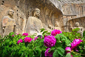 洛阳牡丹花会时间、地点、门票价格详情解答！