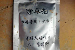 牡丹地怎么除草？牡丹除草有什么好方法？