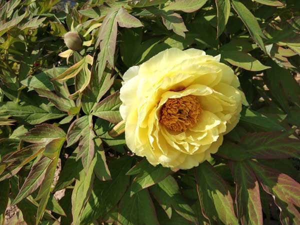 IMG_20190416_100119.jpg